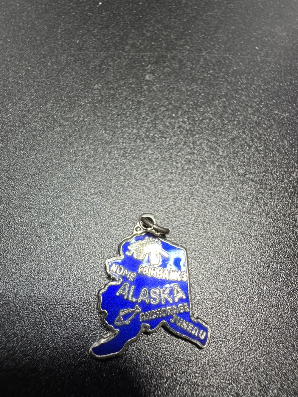 Source Unknown Blue Alaska Enamel Charm Pendant